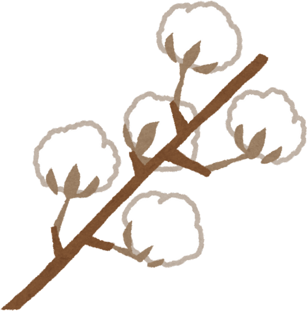 Hand Drawn Cotton Plant Illustration